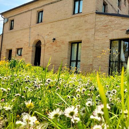 Agriturismo Campo Aperto Belvedere Ostrense Exteriör bild