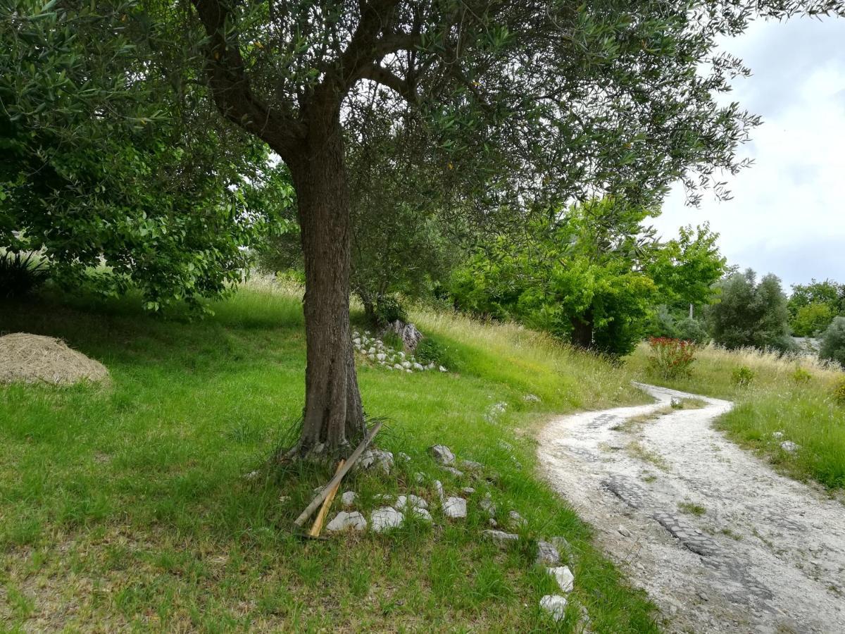 Agriturismo Campo Aperto Belvedere Ostrense Exteriör bild