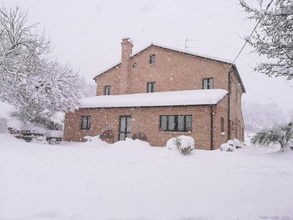 Agriturismo Campo Aperto Belvedere Ostrense Exteriör bild