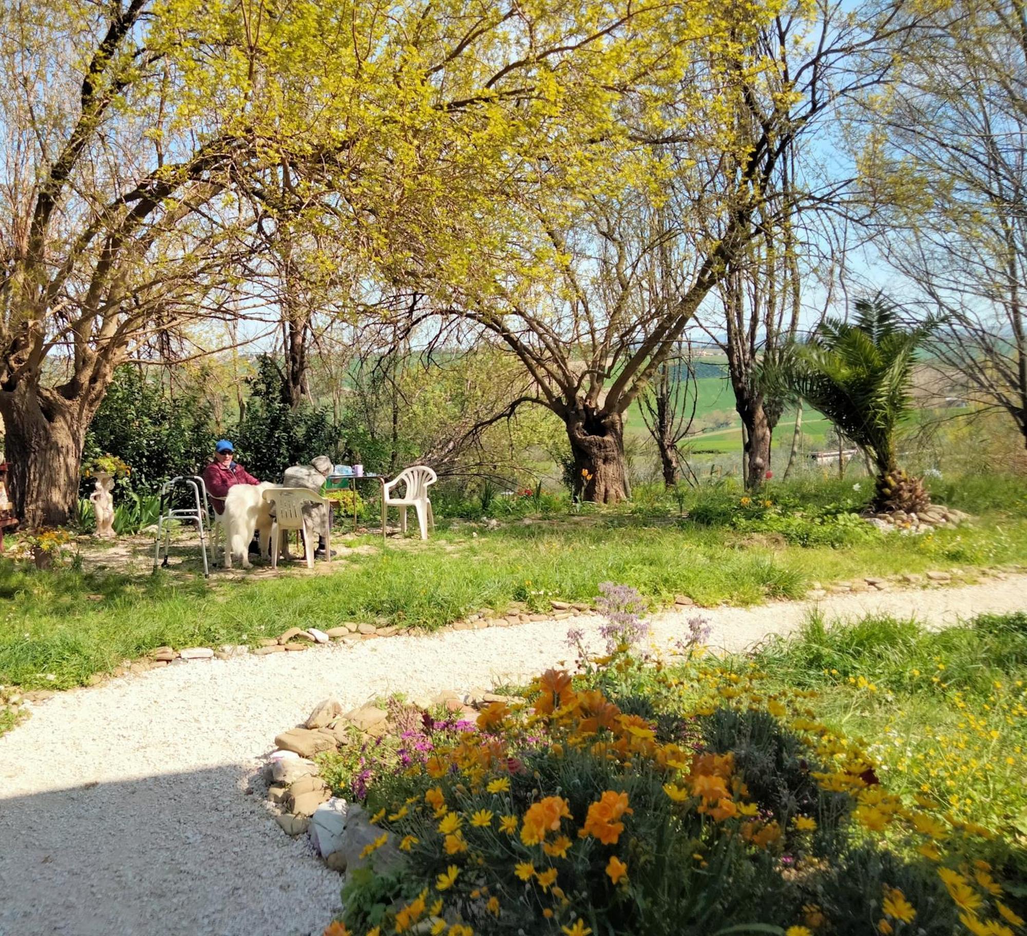 Agriturismo Campo Aperto Belvedere Ostrense Exteriör bild