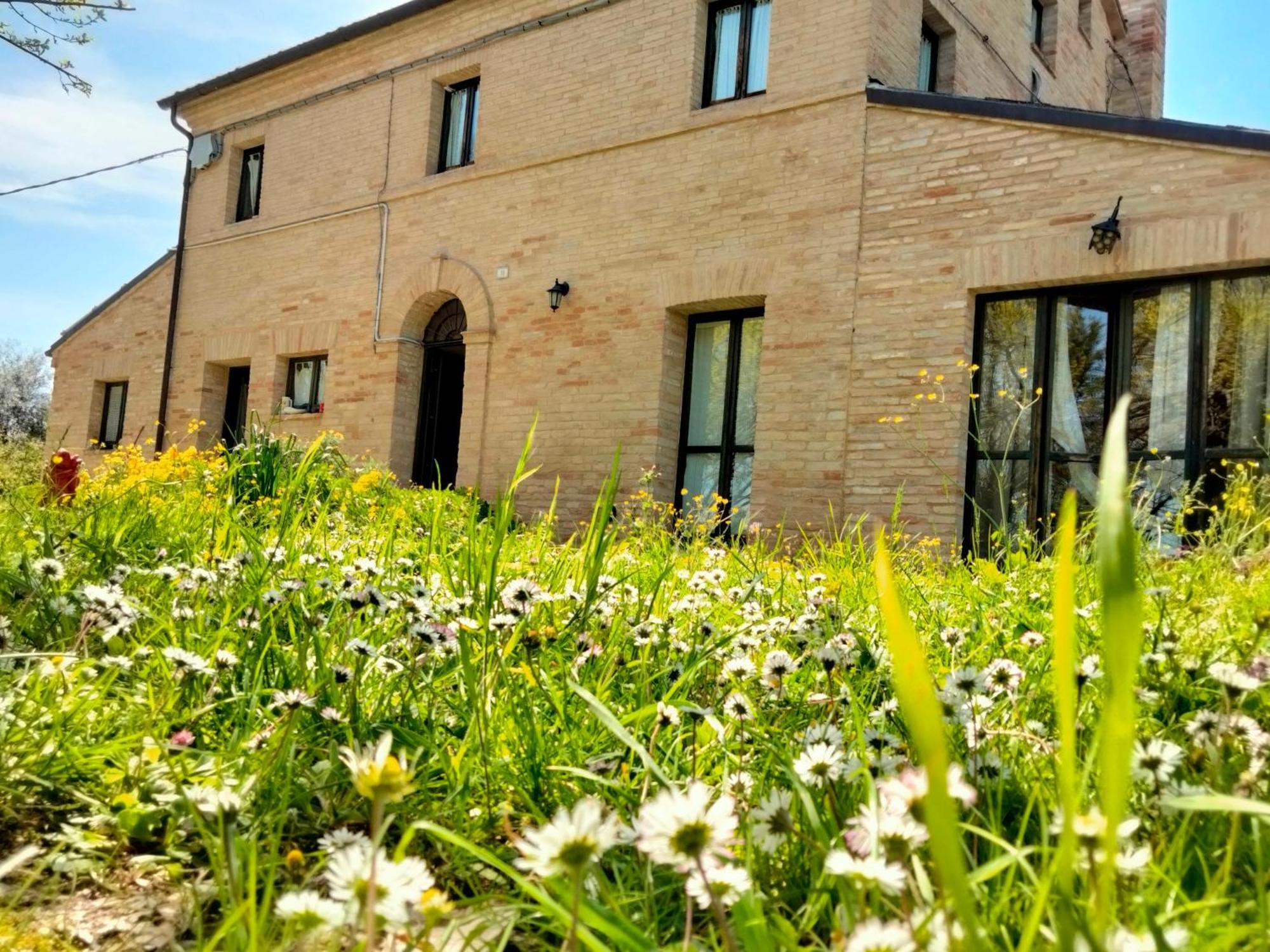 Agriturismo Campo Aperto Belvedere Ostrense Exteriör bild